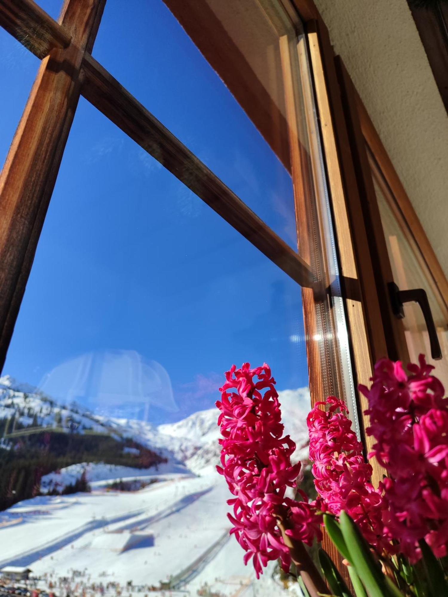 Hotel Almhof Хохфюген Экстерьер фото